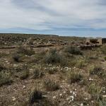 2023OTRA_691 (May 07, 2023)